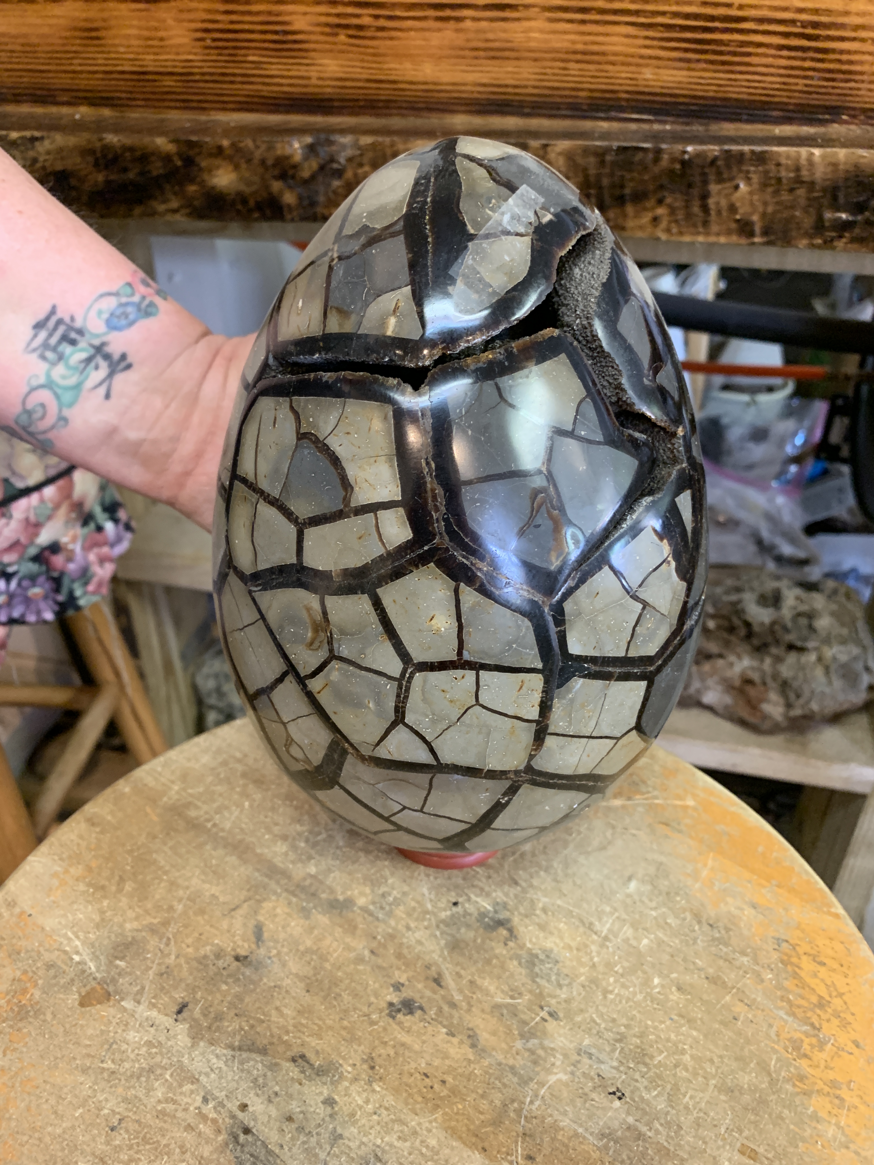 Dragon Egg 001